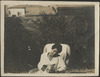 178-Thumbnail Image.jpg