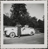 209-Thumbnail Image.jpg