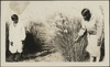 213-Thumbnail Image.jpg