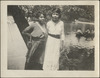 241-Thumbnail Image.jpg
