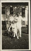 292-Thumbnail Image.jpg