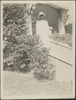 305-Thumbnail Image.jpg