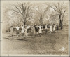 309-Thumbnail Image.jpg