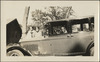 335-Thumbnail Image.jpg