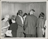 379-Thumbnail Image.jpg