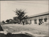 380-Thumbnail Image.jpg