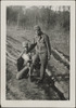 381-Thumbnail Image.jpg
