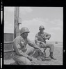 43-Thumbnail Image.jpg