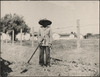 438-Thumbnail Image.jpg