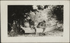 466-Thumbnail Image.jpg