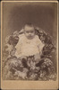 2013-thumbnail-image.jpg