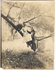 2095-thumbnail-image.jpg
