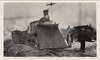 3755-Thumbnail Image.jpg