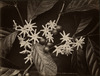3763-Thumbnail Image.jpg