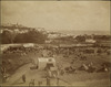 3768-Thumbnail Image.jpg