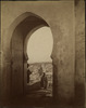 3771-Thumbnail Image.jpg