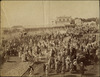 3772-Thumbnail Image.jpg
