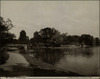 3777-Thumbnail Image.jpg