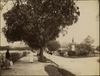 3784-Thumbnail Image.jpg
