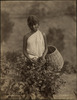 3785-Thumbnail Image.jpg