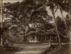 3788-Thumbnail Image.jpg