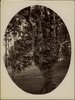 3803-Thumbnail Image.jpg