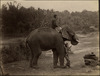 3814-Thumbnail Image.jpg