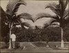 3817-Thumbnail Image.jpg