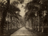 3826-Thumbnail Image.jpg