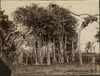 3829-Thumbnail Image.jpg