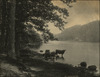 3860-Thumbnail Image.jpg