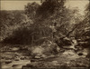 3871-Thumbnail Image.jpg