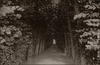 3891-Thumbnail Image.jpg
