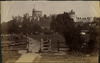 3907-Thumbnail Image.jpg