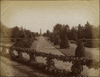 3908-Thumbnail Image.jpg