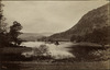 3923-Thumbnail Image.jpg