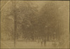 3964-Thumbnail Image.jpg