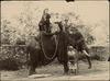 4026-Thumbnail Image.jpg