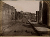4042-Thumbnail Image.jpg