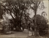 4055-Thumbnail Image.jpg