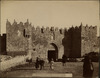 4126-Thumbnail Image.jpg