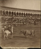 4134-Thumbnail Image.jpg