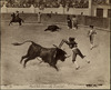 4135-Thumbnail Image.jpg