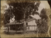 4249-Thumbnail Image.jpg