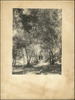 4250-Thumbnail Image.jpg